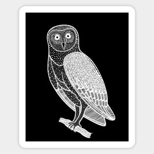 Barn Owl - detailed hand drawn bird design Sticker